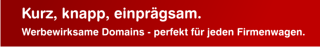 Werbewirksame Domains - perfekt für jeden Firmenwagen